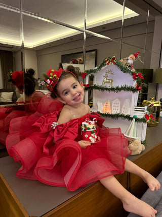 Royal Red Rose Embellished and Children's Evening Dress