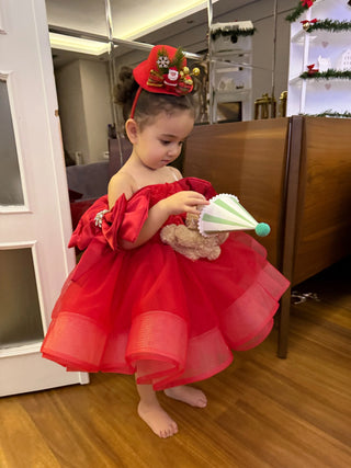 Royal Red Rose Embellished and Children's Evening Dress