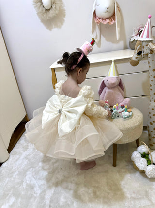 Elena Cream Rose Organza (2nd one 50% off)