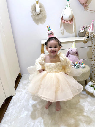 Elena Cream Rose Organza (2nd one 50% off)