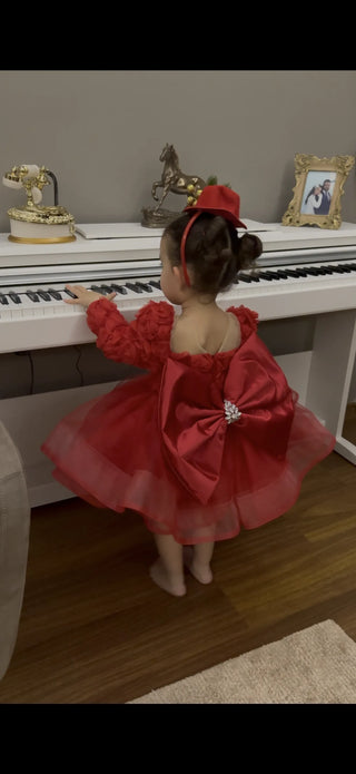 Elena Red Rose Organza (2nd item 50%)