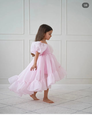 Elizya Pink Organza Fabric Girl's Dress with Train