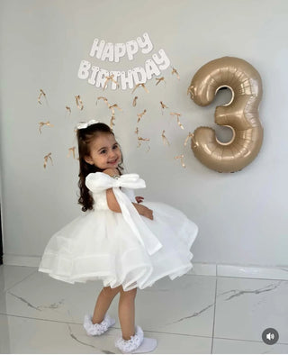 Royal White Rose Organza Sleeve Embellished Girl's Evening Dress