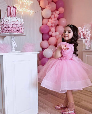 Diana Pink Tulle Embellished Lettuce Skirt Dress