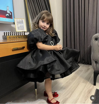 Oscar Organza Black Belted Designer Dress