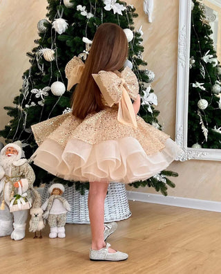 Jerry Gold Stone Embellished Girl's Evening Dress