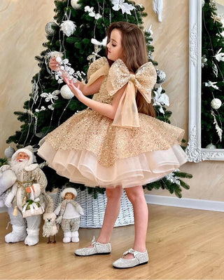 Jerry Gold Stone Embellished Girl's Evening Dress